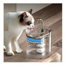 Fuente De Agua Transparente