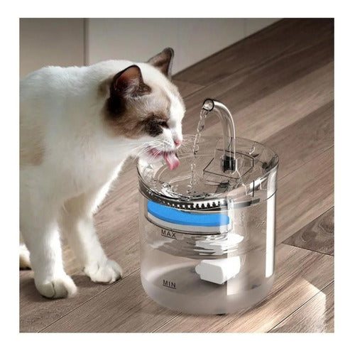 Fuente De Agua Transparente