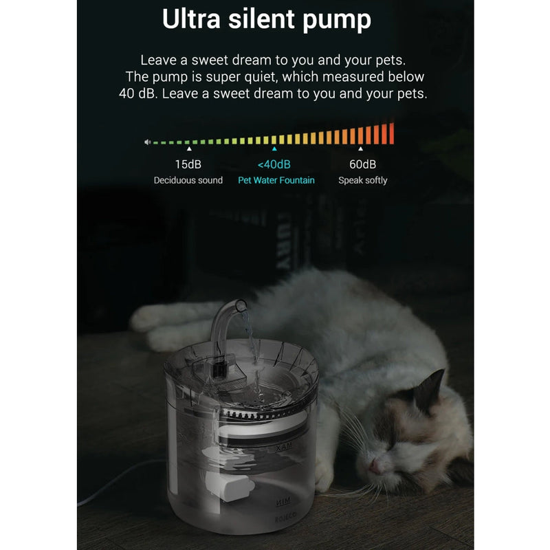 Fuente De Agua Transparente