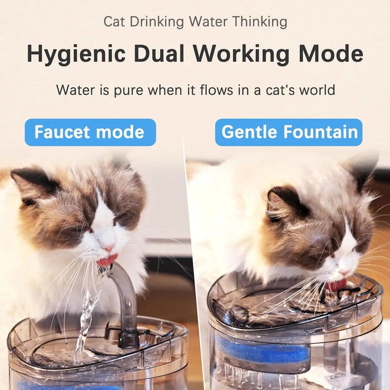 Fuente De Agua Transparente